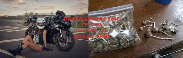 спайс Алексин