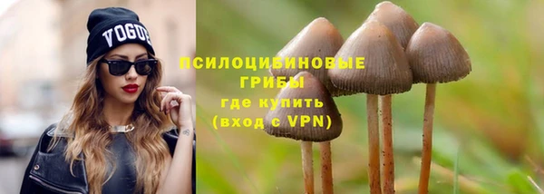 хмурый Алексеевка