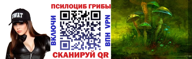 MEGA зеркало  Дмитров  Псилоцибиновые грибы Cubensis 